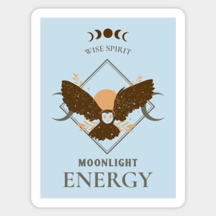 Owl Wise Spirit Moonlight Energy Sticker